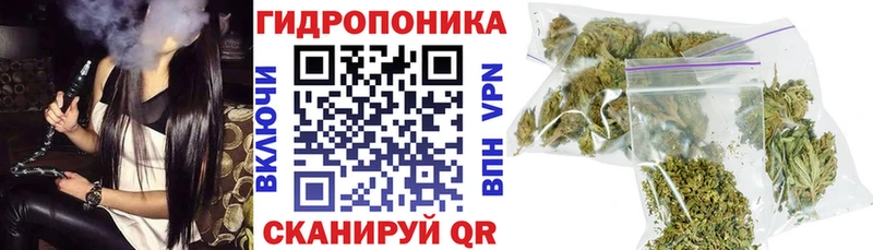 Марихуана Bruce Banner  продажа наркотиков  Суворов 